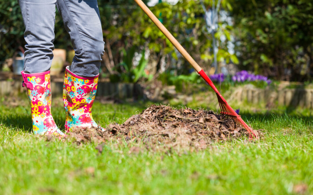 Gardening Safety Tips in League City, TX